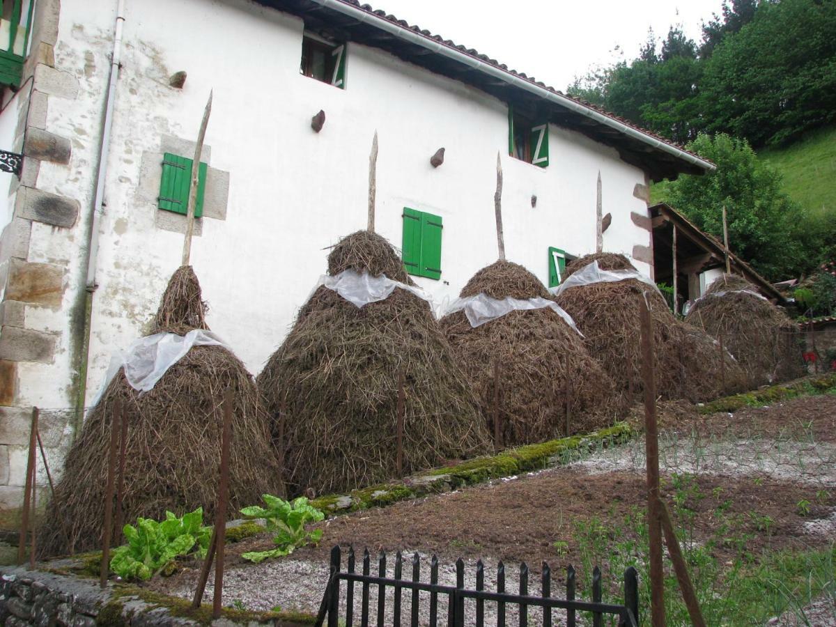 Zubieta Albergue Olasenea Aterpea מראה חיצוני תמונה