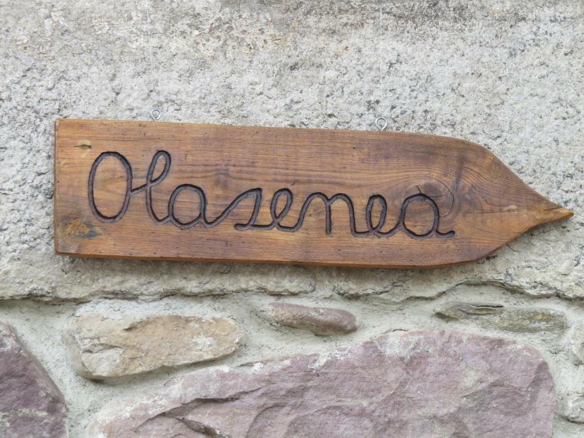 Zubieta Albergue Olasenea Aterpea מראה חיצוני תמונה